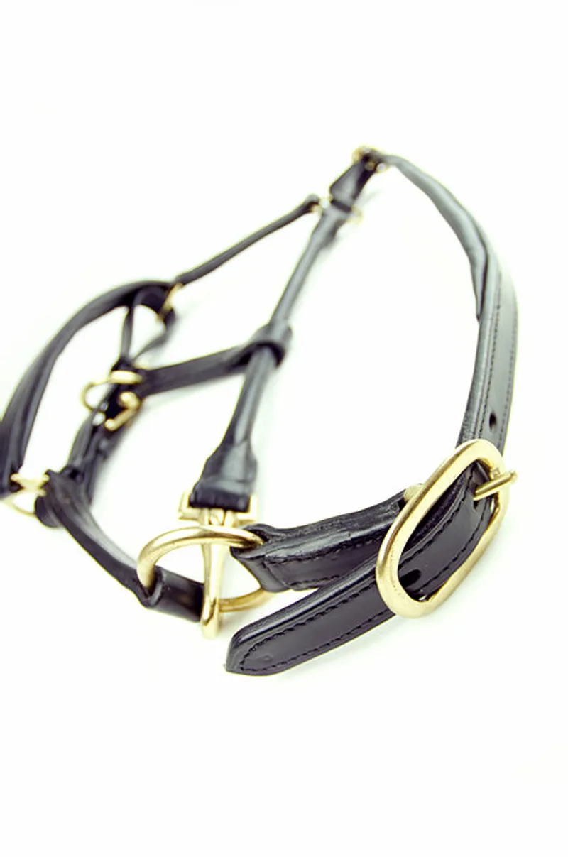 Dever Ascot Leather Headcollar Brown-2